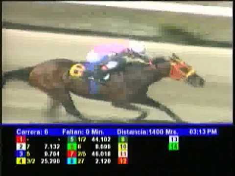 Resumen Domingo, 24 de Febrero de 2013 - La Rinconada