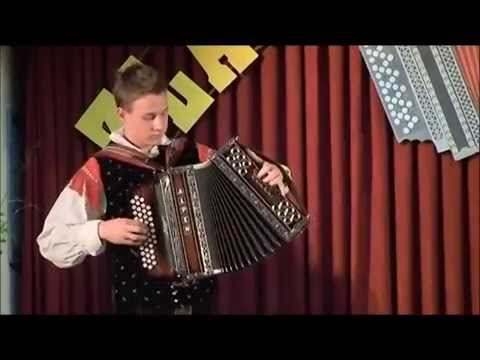Martin Golič - Na zdravje (Zoran Lupinc) Zlata Harmonika Ljubečne 2013