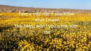 Pickin&#39; Wildflowers-Keith Anderson....LYRICS!