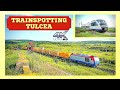 4K Trainspotting In Dobrogea Trenuri Tulcea June 21st 2021