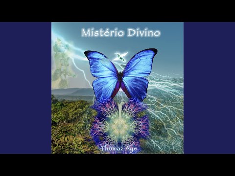 Peregrino Das Estrelas - Thomaz Ayê
