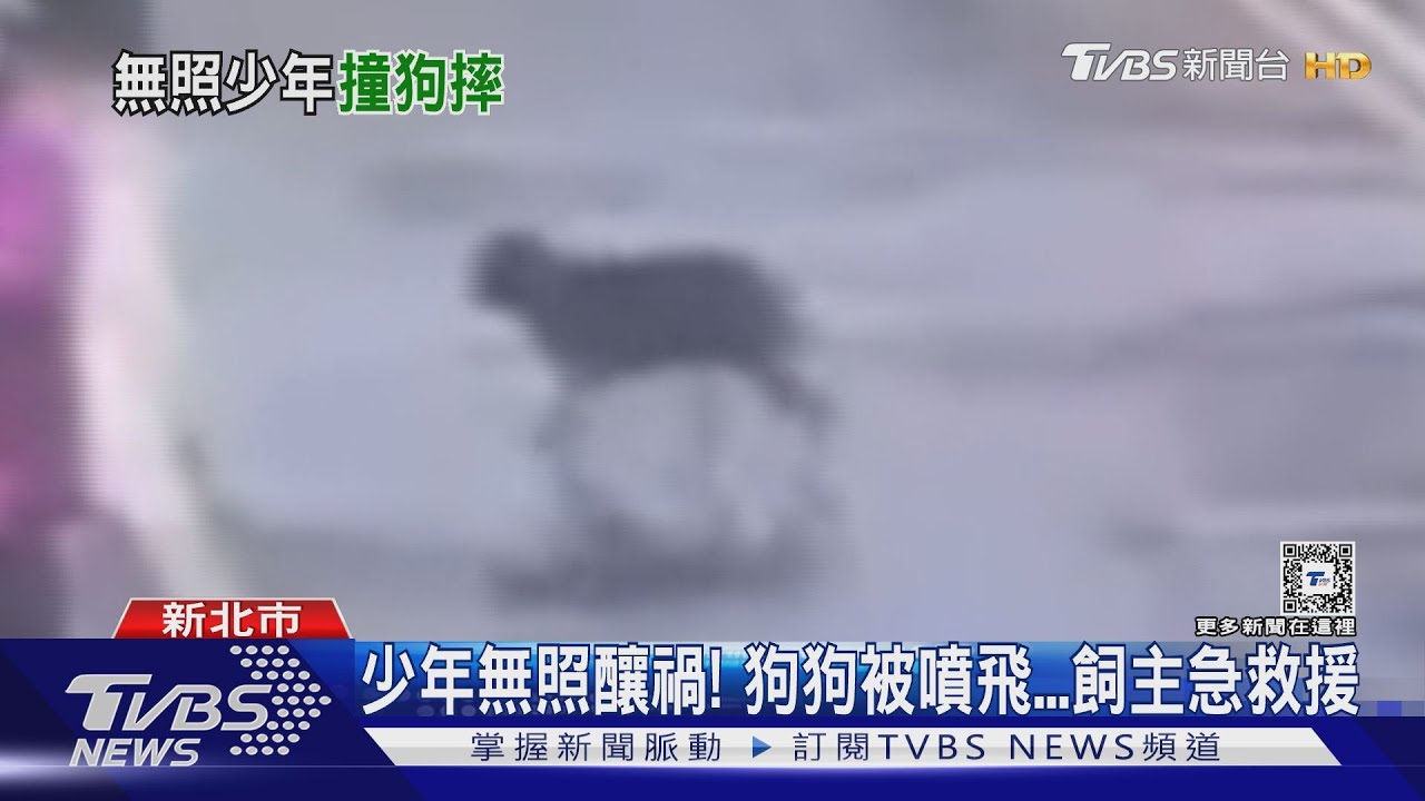 少年無照釀禍!狗狗被噴飛 飼主急救援