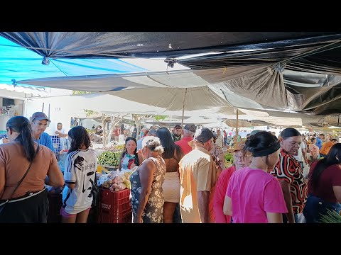 Feira em Canapi AL café com cuscuz e corredor de boi