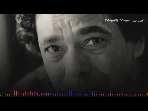 محمد منير " شمندورة " مترجمة