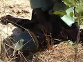 Get A Lesson Malawian Kungfu Movie