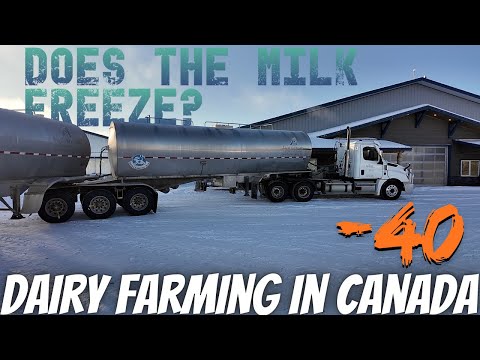 How Does The Milk Truck Keep The Milk From Freezing!?
