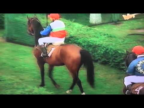 Nagroda Europejczyka - 16.07.1995 - Maskat (El Konto - Mekka IV)