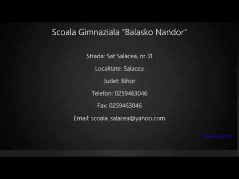 Scoala Gimnaziala "Balasko Nandor" Salacea