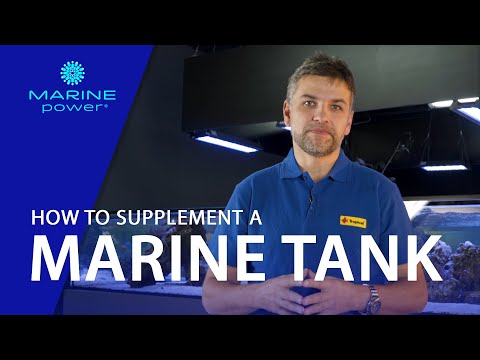 How to prepare liquids for the Balling Method supplementation? #4