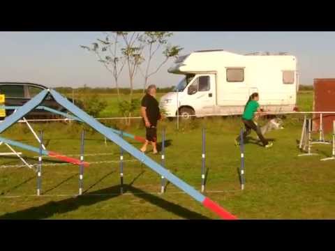 Yoshi & Sonja 19.10.14 Turnier Münchendorf