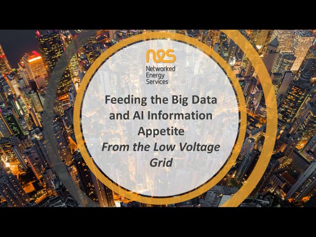 Feeding the Big Data Information Appetite from the Low Voltage Grid