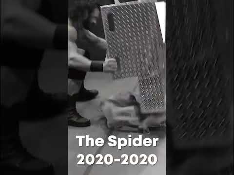 Erik Rowan Spider is no more after this