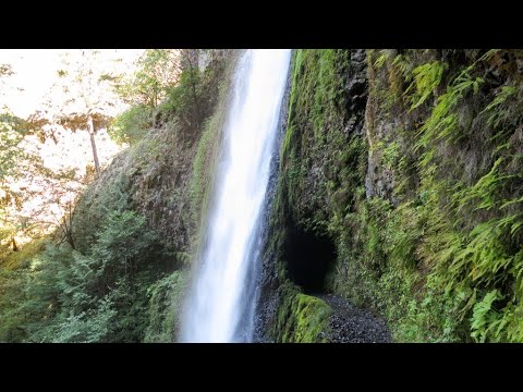 Hiking Eagle Creek Trail to Tunnel Falls