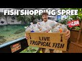 Buying NEW FISH For My SALTWATER AQUARIUMS No Budget
