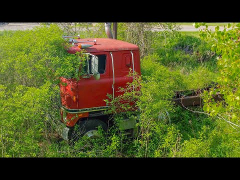 Left in the weeds for 15 years - will it run?