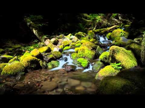 Odonbat - Beyond Tomorrow