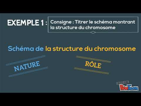 Vidéo méthodo n°1 : Donner un titre