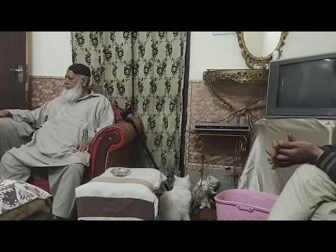 Yaadgar Lamhaat😔 ❤️|| waliye Kamil Mian Kamal Baba Naqshbandi Mujaddadi RA🌹