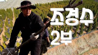 [나는농부다 347회 2부] 인턴 나무꾼과 이건희 회장님