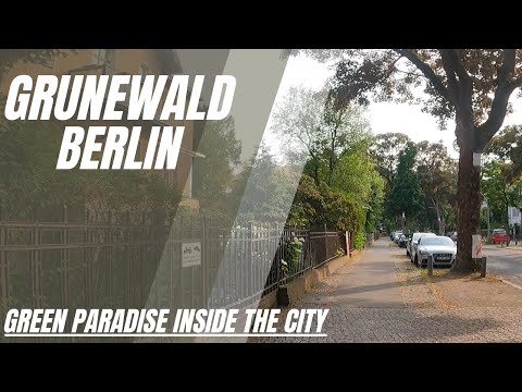 Walking Through Grunewald: Berlin's Hidden Nature 🌲👣