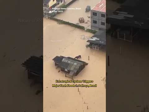 Extratropical Cyclone Triggers Major Flash Floods in Palhoça, Brazil