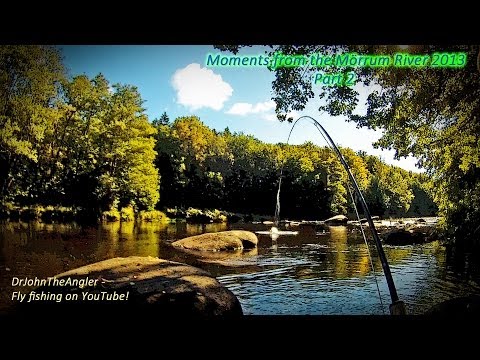 Moments from the Mörrum River 2013 Part 2 - fly fishing for big salmon and sea trout.