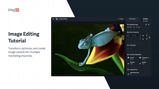 imgix Tutorial - Image Editing