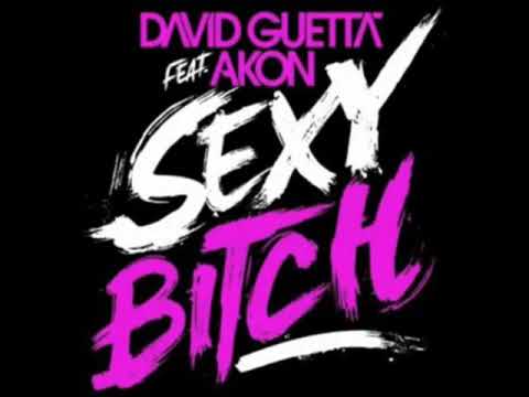 David Guetta ft Akon Sexy Bitch mp3