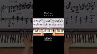 Download lagu 深い絶望を超えた先に見つけた、全宇宙の調和。J.S.バッハ《シャコンヌ》 #ピアノ #バッハ #piano #classic #bach mp3