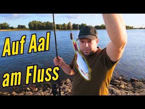 Aal angeln am Fluss im Sommer (Angeln auf Aal mit Erfolg)