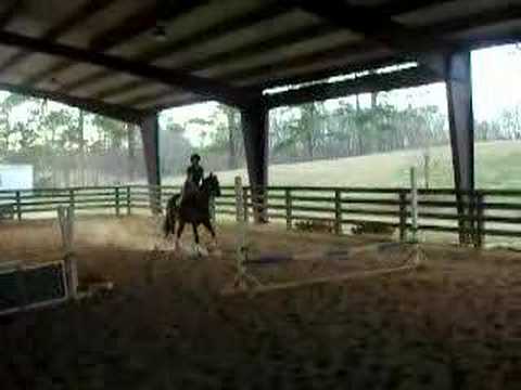 1/12/2008 - Always The Optimist #5