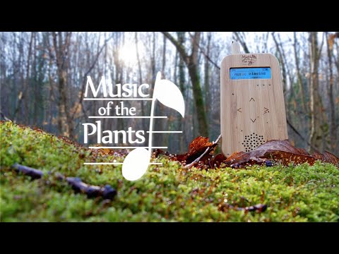 Music of the Plants - Instant calm, Beautiful Relaxing Dreamy music (Nature Energy Healing) ★