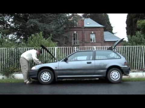 WILLAXXX AFRICAN NIGHTMARE