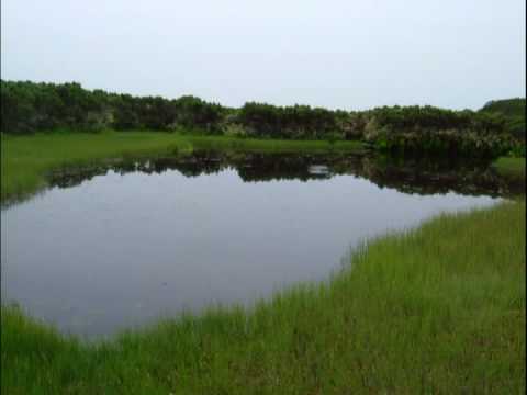 download lagu mp3 mp4 あなた と共に, download lagu あなた と共に gratis, unduh video klip あなた と共に