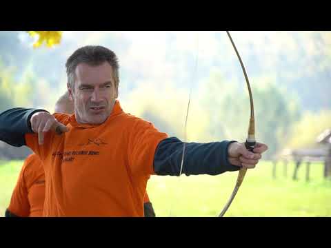 Comparison of the  laminated and biocomposite version