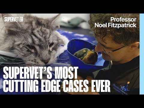 Cutting-Edge Care and Unconditional Love for Animals with Professor Noel Fitzpatrick | Supervet ER