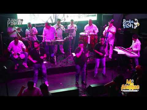 Rumbera   Pa Bravo Yo   Orquesta Mr  Afinque All Stars   RumbaFish   Los Olivos   2017