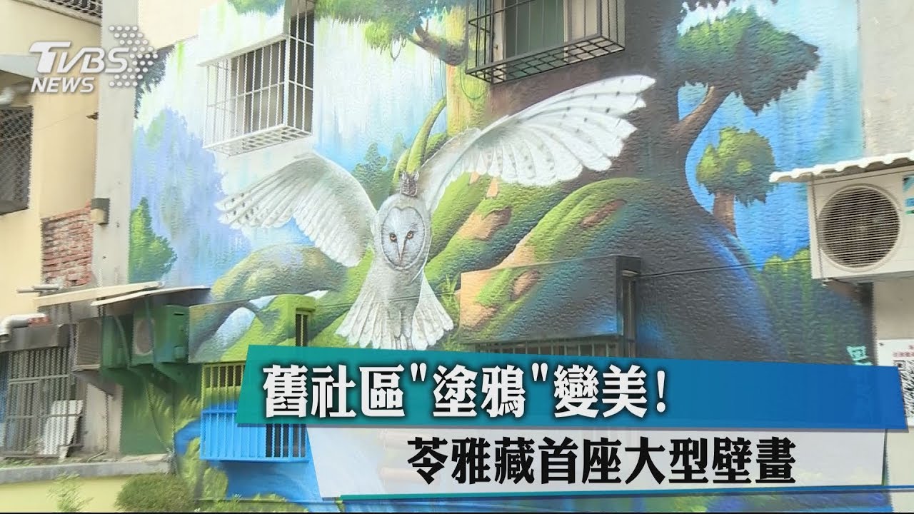 舊社區「塗鴉」變美! 苓雅藏首座大型壁畫