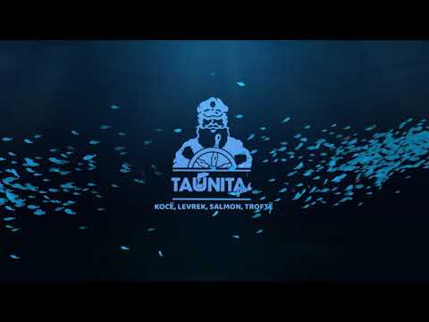 Taunita Fish Video Animation 2D