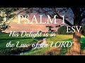 Psalm 1 ESV- WORD FOR WORD Scripture Song