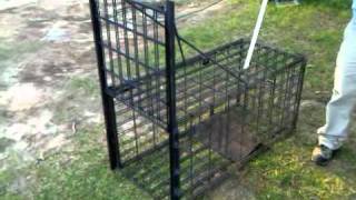 Animal Trap with Guillotine Style Door