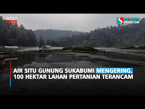 Air Situ Gunung Sukabumi Mengering, 100 Hektar Lahan Pertanian Terancam