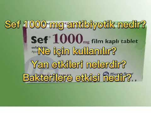 What is Sef 1,000 milligram antibiotic? What is it used for? What are its side effects?