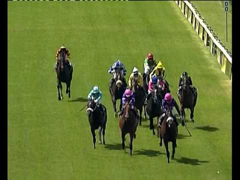 Legislate - 2014 Investec Cape Derby Gr1