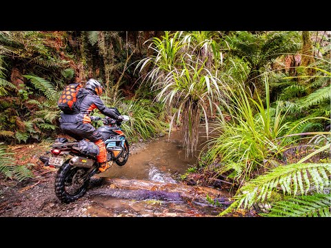 KTM Kriega Extreme Adventure – Ein langer Weg für Buschkaffee