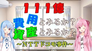 111億、資産とみるか？ 費用とみるか？