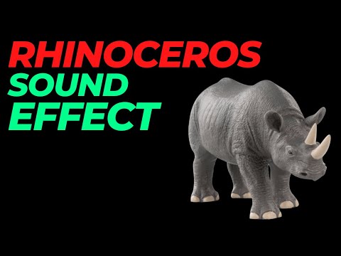 Rhinoceros sound effect no copyright | Rhinoceros noises | Rhinoceros sounds | HQ Rhinoceros sound