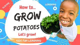 How to Grow Potatoes in 5 Easy Steps | Kids Home Activities