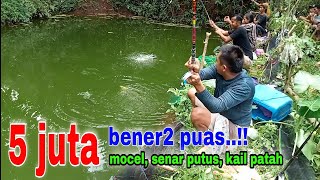 Download lagu FISHING FOR POMBS FOR 5 MILLION IDR // IT'S NOT JUST FISHING, YOUR SKILL AND MENTALITY ARE AT STA... mp3 Download lagu FISHING FOR POMBS FOR 5 MILLION IDR // IT'S NOT JUST FISHING, YOUR SKILL AND MENTALITY ARE AT STA... mp3