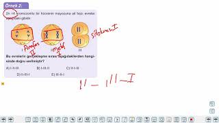 Eğitim Vadisi TYT Biyoloji 10.Föy Hücre Bölünmeleri 2 (Eşeyli Üreme) Konu Anlatım Videoları